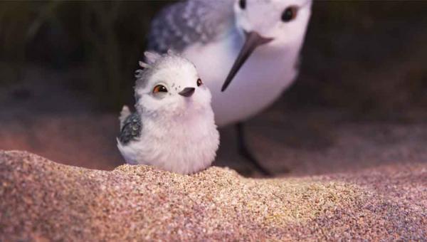 Szenenbild aus dem Pixar-Kurzfilm "Piper", der vor "Findet Dorie" zu sehen ist