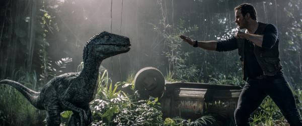 Chris Pratt als Owen mit Blue in Jurassic World 2 Chris Pratt als Owen mit Blue in Jurassic World 2