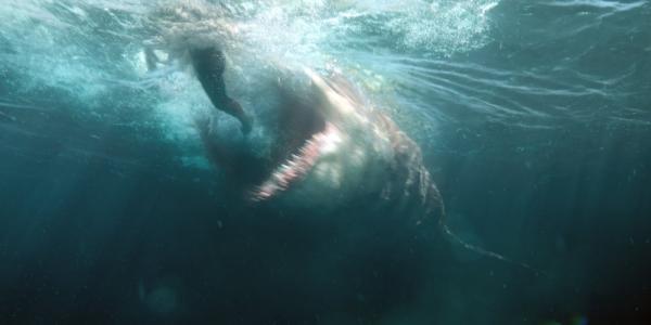 Meg