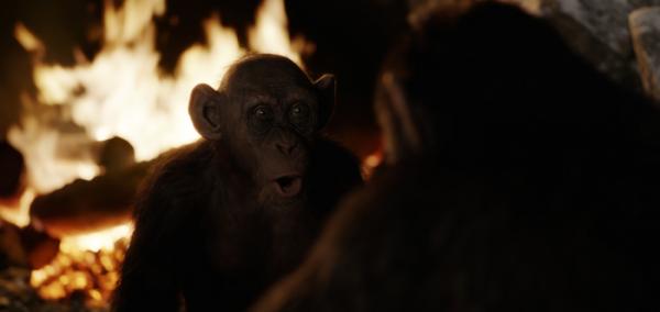 Steve Zahn als Bad Ape in Planet der Affen: Survival