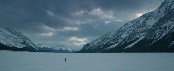 The Revenant