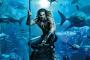 Aquaman 2: Lost Kingdom - Teaser stimmt auf den ersten Trailer ein Aquaman 2: Lost Kingdom - Teaser stimmt auf den ersten Trailer ein