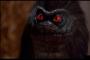 Critters: Syfy plant Remake des Horrorfilms