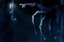 Die ersten Trailer zu Insidious 4: The Last Key