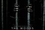 Trailer zu The Woods: Vielversprechender Found-Footage-Horror im Wald Trailer zu The Woods: Vielversprechender Found-Footage-Horror im Wald