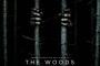 Trailer zu The Woods: Vielversprechender Found-Footage-Horror im Wald