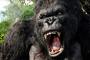 Kong: Skull Island - Jason Mitchell soll in Verhandlungen stehen