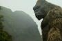 Einspielergebnis - Kong: Skull Island an der Spitze der Kinocharts