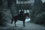 The Witcher: Dreharbeiten zu Staffel 3 aufgrund Corona unterbrochen