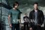 The Winchesters: Drake Rodger und Meg Donnelly spielen die Hauptrollen im Supernatural-Prequel The Winchesters: Drake Rodger und Meg Donnelly spielen die Hauptrollen im Supernatural-Prequel