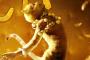 Cats: Musical-Film erhält ein Effekt-Upgrade Cats: Musical-Film erhält ein Effekt-Upgrade