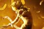 Cats: Musical-Film erhält ein Effekt-Upgrade