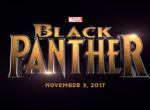 Black Panther: Höchster US-Kartenvorverkauf aller Zeiten