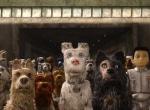 Kritik zu Isle of Dogs - Ataris Reise: Knuddelige Animationen mit politischen Anliegen Kritik zu Isle of Dogs - Ataris Reise: Knuddelige Animationen mit politischen Anliegen