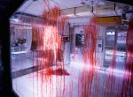 Es wird blutig - Noch ein Szenenbild aus Alien: Covenant