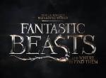 Phantastische Tierwesen: Warner bestätigt Trilogie aus Rowlings Zaubererwelt