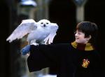Harry Potter and the Cursed Child: Artwork und Infos zur Handlung des Bühnenstücks von J.K. Rowling
