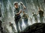 Maze Runner Maze Runner