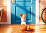 Pets 2: Animationsfortsetzung für 2018 angekündigt