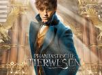 Einspielergebnis: Phantastische Tierwesen top, Doctor Strange marschiert auf die 600 Millionen zu Einspielergebnis: Phantastische Tierwesen top, Doctor Strange marschiert auf die 600 Millionen zu
