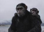 Keine leichte Kost - Kritik zu Planet der Affen: Survival