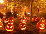 Spezialgelagerter Horror - Unsere Tipps zu Halloween 2022