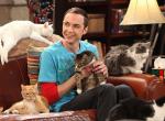 The Big Bang Theory: Staffel 12 wird die finale Staffel der Serie