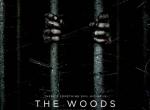 Trailer zu The Woods: Vielversprechender Found-Footage-Horror im Wald