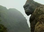 Einspielergebnis - Kong: Skull Island an der Spitze der Kinocharts