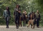 The Walking Dead: Trailer, Wiedersehen, Abschiede und Neuigkeiten des Franchises