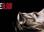 True Blood: Bei HBO soll ein Reboot in Entwicklung sein True Blood: Bei HBO soll ein Reboot in Entwicklung sein