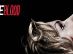 True Blood: Bei HBO soll ein Reboot in Entwicklung sein