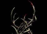 Antlers: Finaler Trailer zum Horrorfilm Antlers: Finaler Trailer zum Horrorfilm