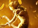 Cats: Musical-Film erhält ein Effekt-Upgrade
