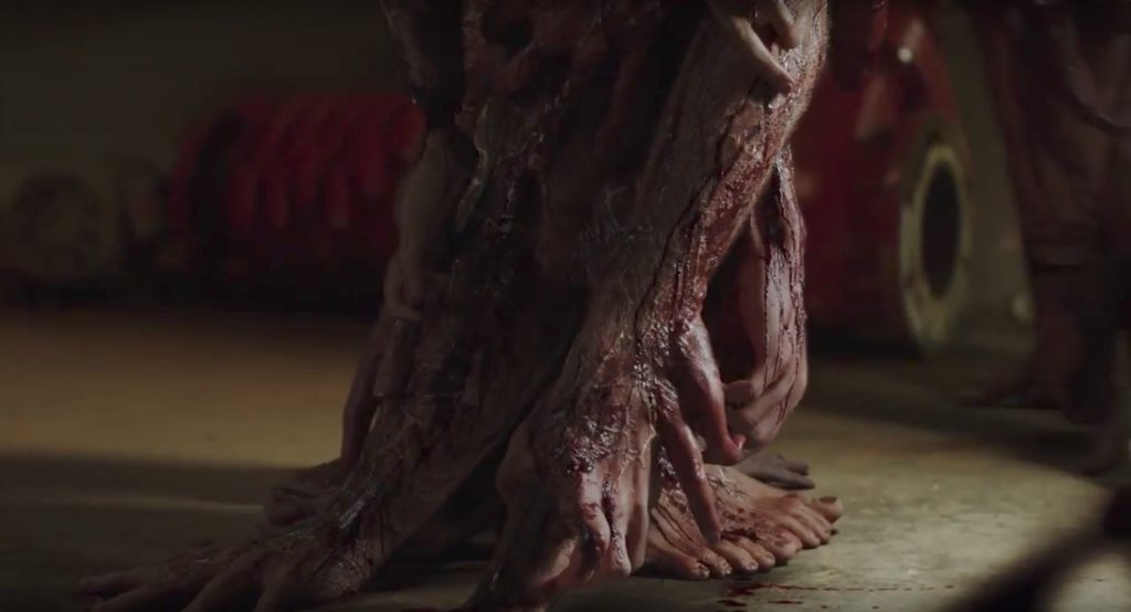 zygote oats studios