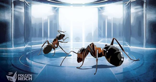 Imperium der Ameisen 