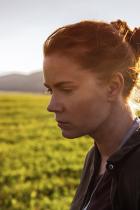 Die Entdeckung des Fremden - Kritik zu Arrival
