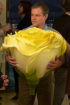 Kritik: Downsizing – Liebling, ich habe die Handlung geschrumpft