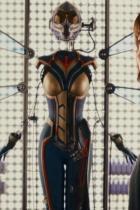 Avengers 4: Evangeline Lilly bestätigt Auftritt als The Wasp