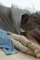 House of the Dragon: Castinggerüchte zum Game-of-Thrones-Spin-off