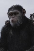 Planet der Affen: Owen Teague übernimmt die Hauptrolle im neusten Film 