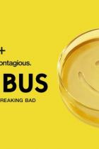 Pluribus: Kryptischer Teaser zur neuesten Serie von Vince Gilligan