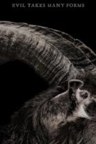 Trailer und Plakat für Hexenhorrorfilm The Witch