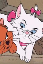 Aristocats: Disney plant Realverfilmung des Zeichentrickfilms
