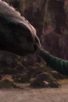 Einspielergebnisse: Drachenzähmen leicht gemacht startet mit fast 200 Millionen Dollar