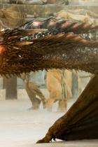 Game of Thrones: Folgen von Staffel 8 kosten jeweils 15 Millionen Dollar