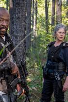 Ich sterbe nicht: Kritik zu The Walking Dead 8.14