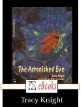 The Astonished Eye, Tracy Knight, Rezension The Astonished Eye, Tracy Knight, Rezension