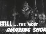 Retro-Kiste zu King Kong und die weiße Frau: Ein Schaustück zur Befriedigung ihrer Neugier Retro-Kiste zu King Kong und die weiße Frau: Ein Schaustück zur Befriedigung ihrer Neugier