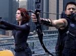 Avengers Hawkeye & Black Widow Avengers Hawkeye & Black Widow